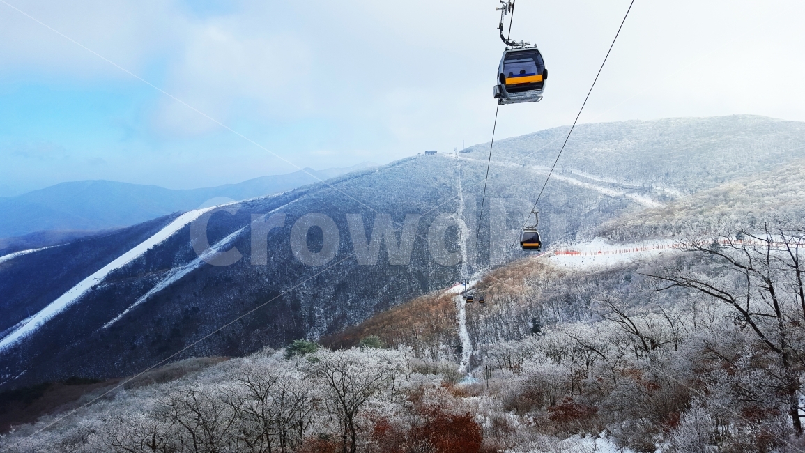 스키장,스키,보드,곤돌라,눈,겨울산,겨울,겨울,계절,winter,season,자연,풍경,nature,landscape,한국자연풍경,한국자연경관,korea nature landscape