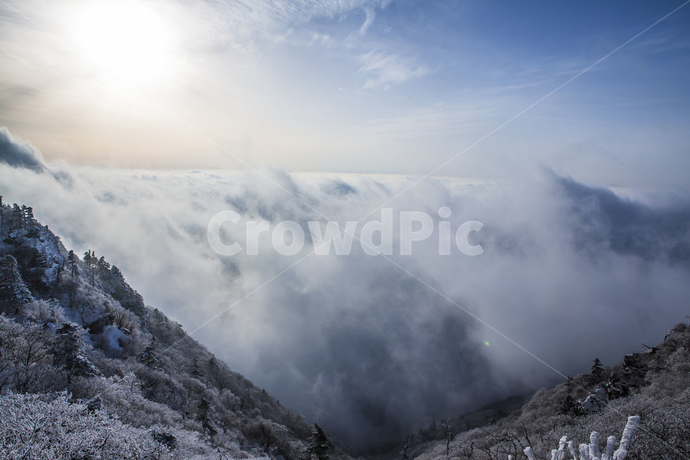 운해,일몰,상고대,눈꽃,자연,겨울,계절,winter,season,자연,풍경,nature,landscape,한국자연풍경,한국자연경관,korea nature landscape,outdoors,옥외,slope,경사