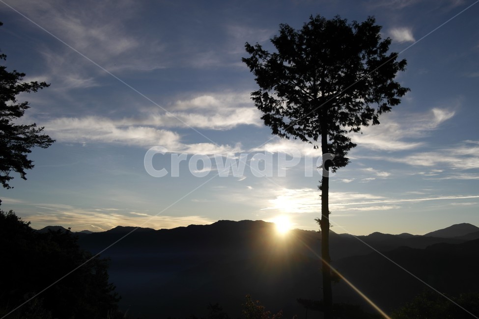 해돋이,일출,해,풍경,아침,새벽,고요,평온,나무,시작,하늘,sunrise,자연,풍경,nature,landscape,light,빛,flare,플레어