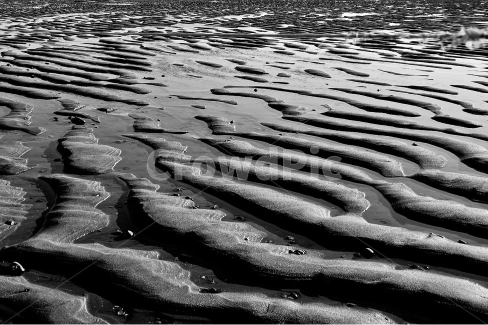 바다,모래,갯벌,물결,무늬,모랫골,파도,자연,풍경,nature,landscape,흑백,모노톤,monochrome,black and white,soil,흙