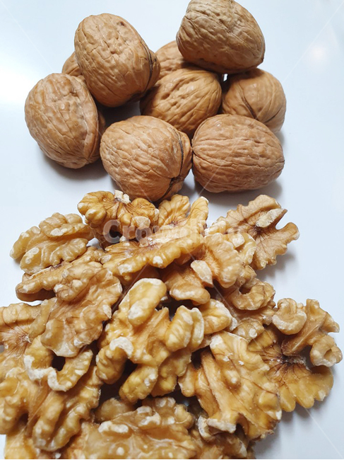 호두,너트,음식,간식,딱딱한,nut,콩류,견과류,beans,pulse,nuts,dry fruits