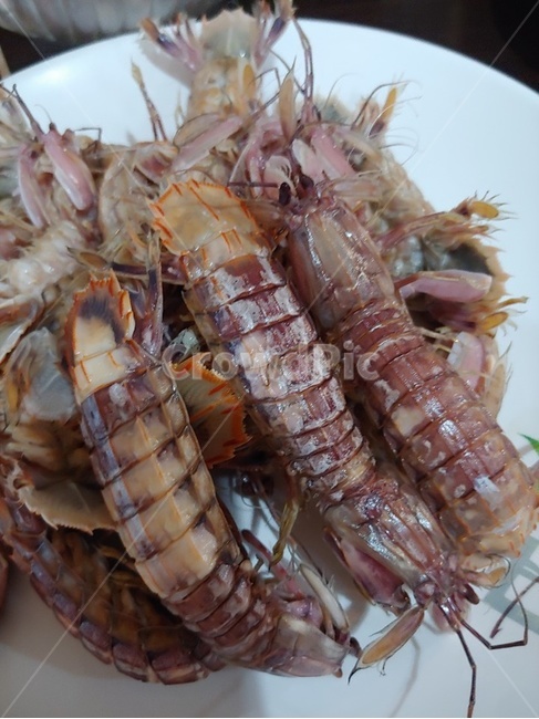 딱새,딱새찜,제철딱새,딱새요리,제철요리