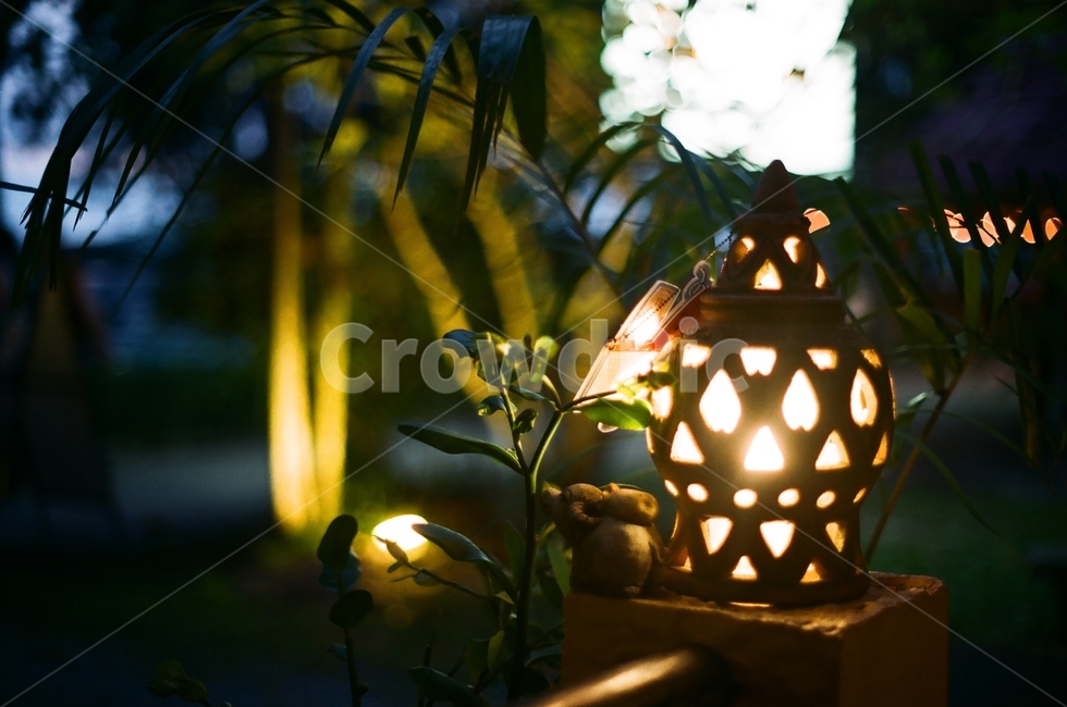조명,전구,불빛,백열등,따스함,따뜻함,야외,outdoors,light