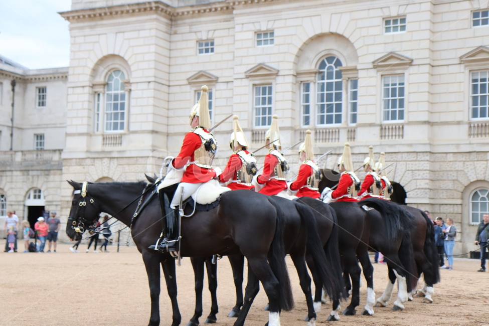 영국,호스가즈,horseguards,말,근위병