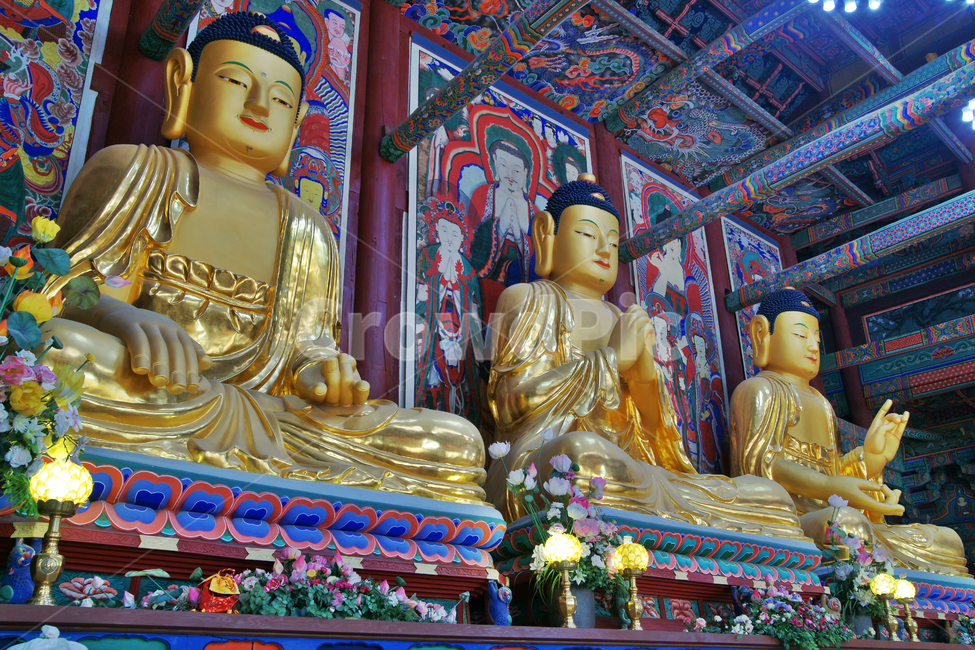 삼존불,대웅전,법주사,보물제1360호,비로자나불,석가여래,노사나불,삼신불,진흙,소조,소조불상,조선시대,조각상,동상,석상,조형물,statue,bronze statue,stone statue,종교,신앙,religion,belief,faith