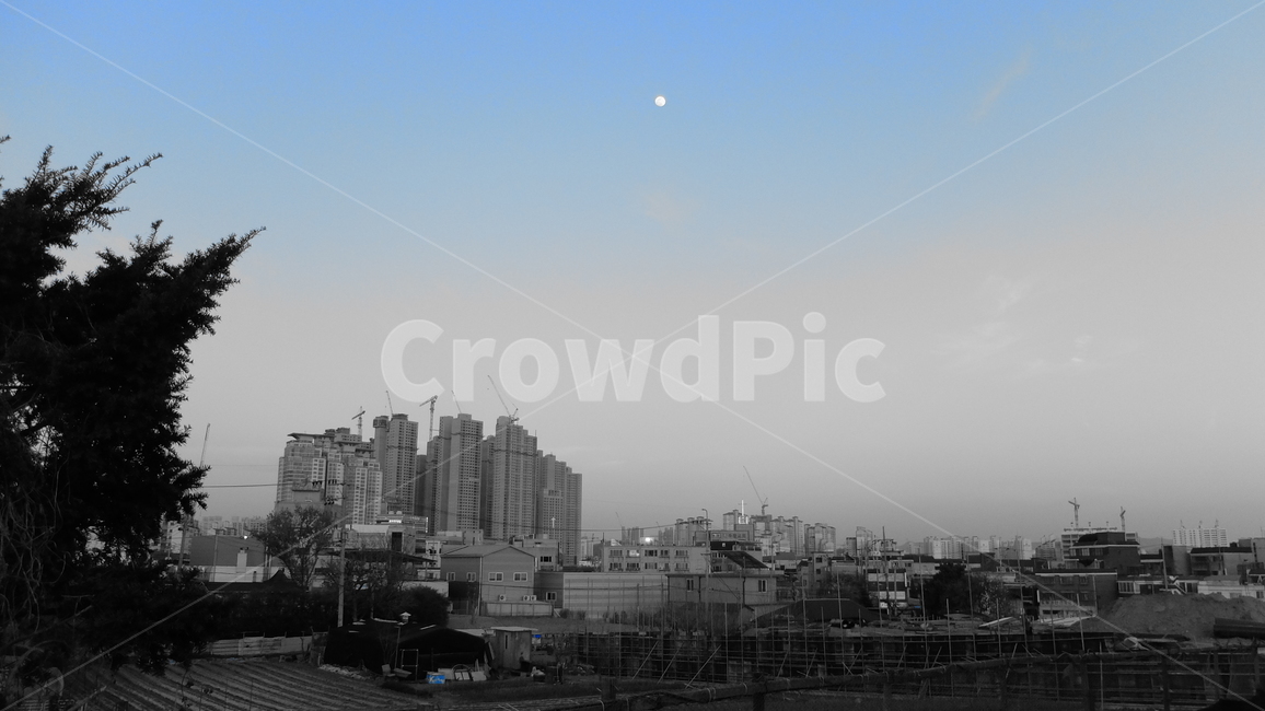 발전,도심지,개발,시흥시,건설,달,하늘,풍경,아파트,나무,대비