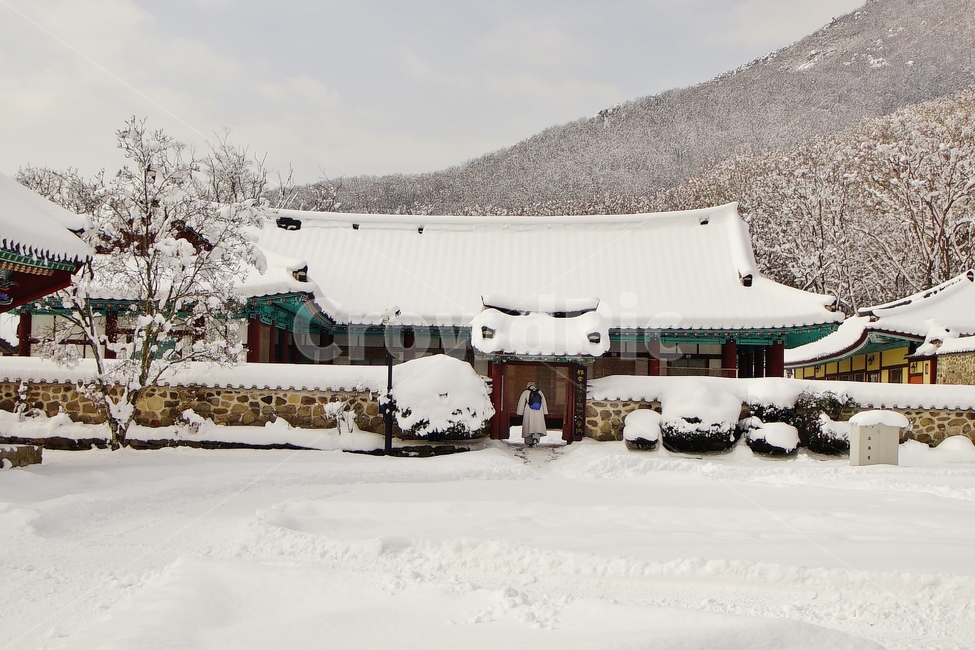 선운사,고창,설경,사찰,풍경,겨울,계절,winter,season,한국전통,한국문화,korean traditional,korean culture,사람,인물,인간,human,person,종교,신앙,religion,belief,faith,건축물,건물외관,exterior,building,structure,architecture,construction