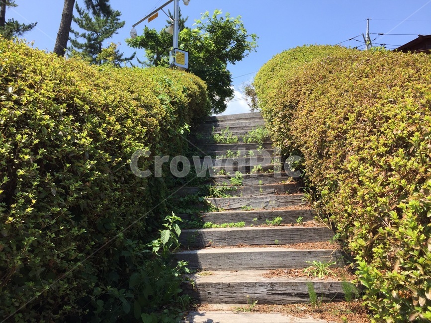 outdoors,옥외,계단,stair,stairs,푸,풀,green,glass,시골