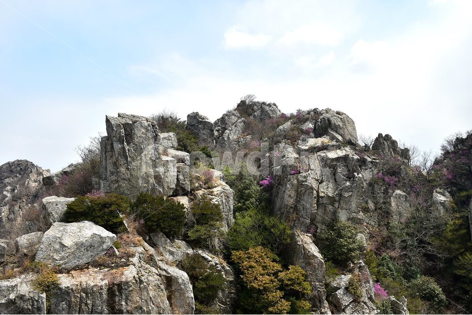 주작산,덕룡산,종주,진달래,풍경,기암,바위,비경,봄풍경,진달래꽃,강진,명산,산행,등산,마운틴,힐링,mountain,landscape,자연,natural,자연,풍경,nature,landscape,한국자연풍경,한국자연경관,korea nature landscape,outdoors,옥외,cliff,낭떠러지