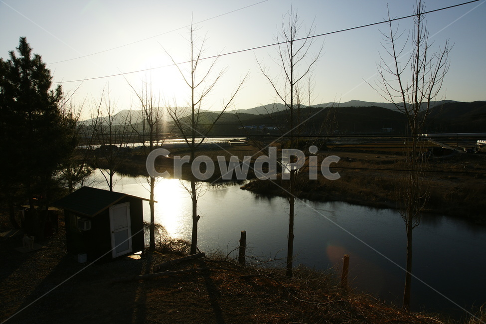 겨울,풍경,시골,빛,강,나무,가지,자연,풍경,nature,landscape,outdoors,옥외,land,땅