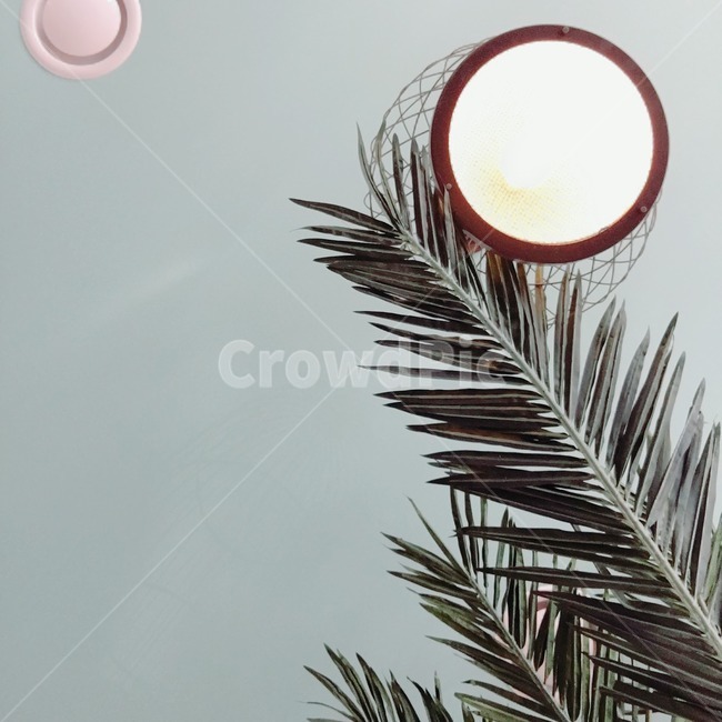 나무,거울,민트,인테리어,감성,인테리어,실내디자인,interior design