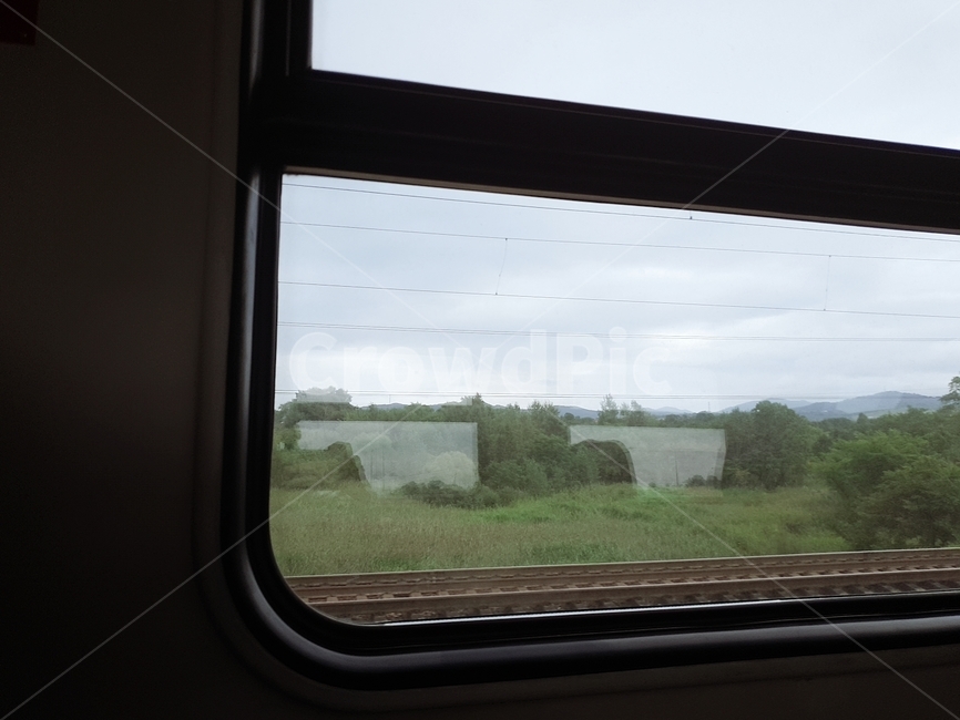 창문,배경,러시아,기차,풍경,tree,scenetrain,window,russia,교통,교통수단,traffic,transportation