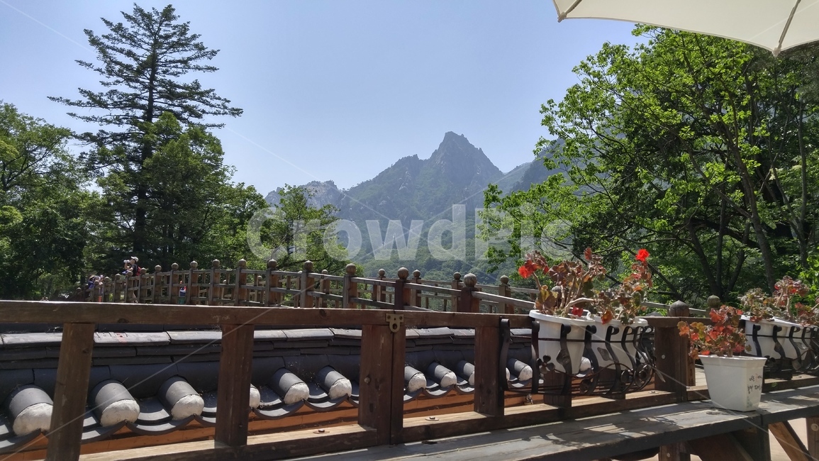 설악산,자연,산,자연경관,한옥,난간,handrail,railing