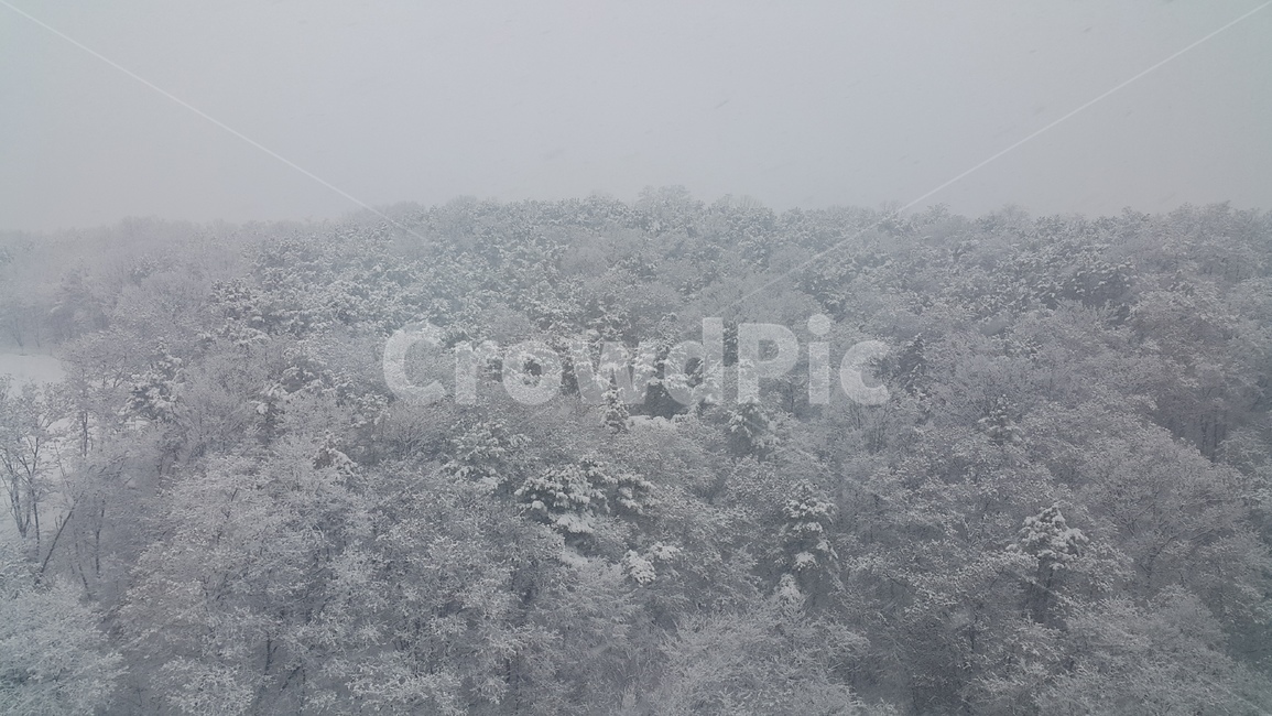 snow,winter,tree,눈,나무,산,겨울,계절,winter,season,자연,풍경,nature,landscape,outdoors,옥외