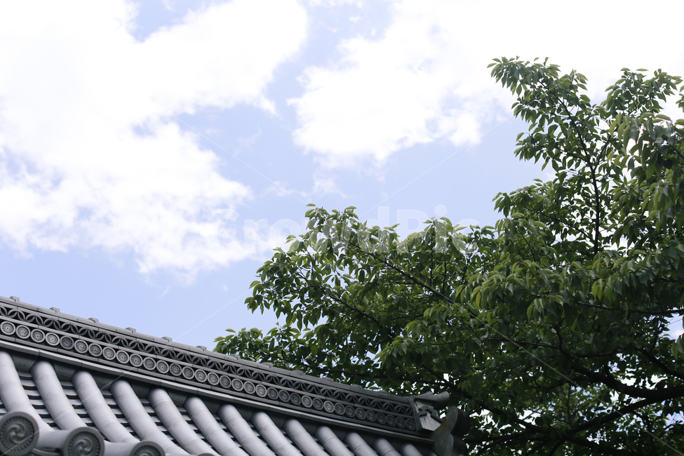 일본,지붕,산책,교토,맑은날,구름