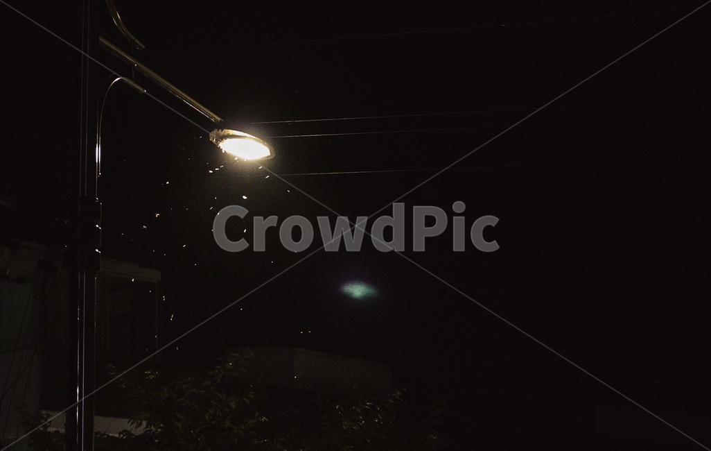가로등,불빛,어두운밤,나방,벌레,야경,밤,풍경,nightscape,night,landscape,lighting,조명