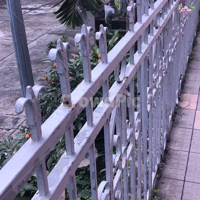 울타리,길,감성,보도,철