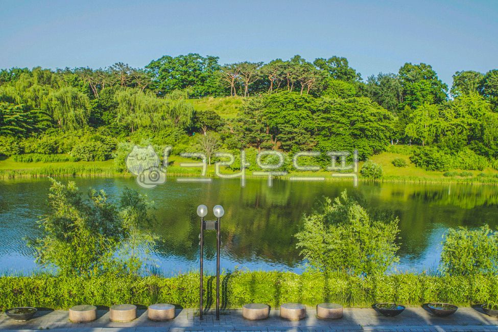 Olympic Park,nature,tree,water,Street lamp,seoul,Mongchon Lake,trail,streetlamp,outdoors,plant,lake,park,walk