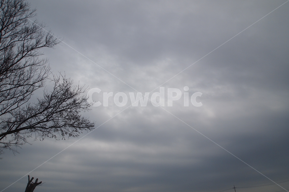풍경,하늘,배경,축전용,사진,자연,풍경,nature,landscape,weather,날씨