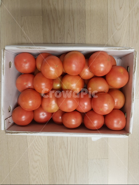 토마토,과일,토마토샐러드,과일샐러드,토마토소스