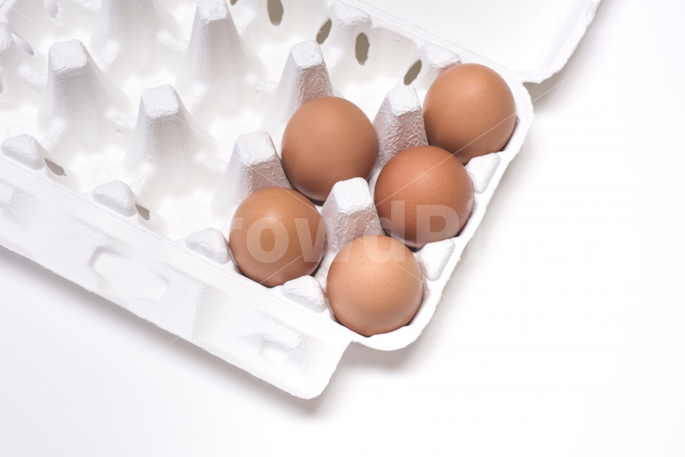 계란,달걀,음식,식재료,먹다,계란판,비어있는,식료품,egg,단백질,담겨있는,신선,재료,오브젝트,요리,한판,음식,식재료,요리,food,cook,meal,dishes,food reserves,누끼,remove background