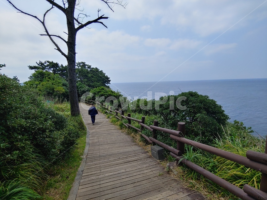 바닷가,산책,산책로,걷기,나무,초록,난간,해안