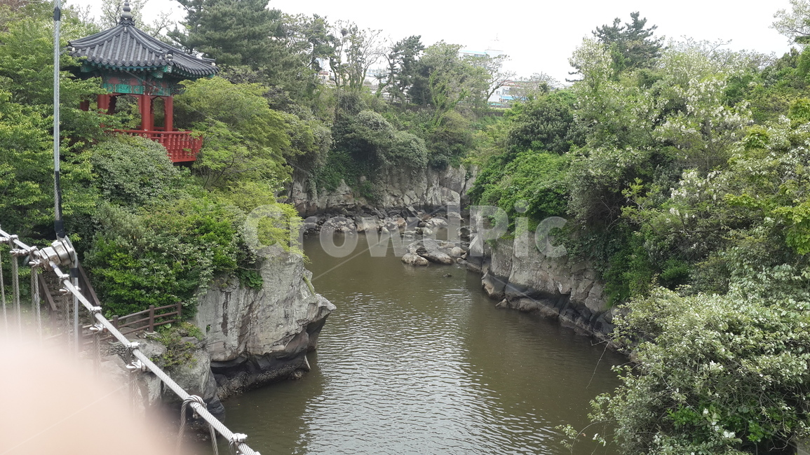 용연구름다리,강,정자,나무,숲,제주도