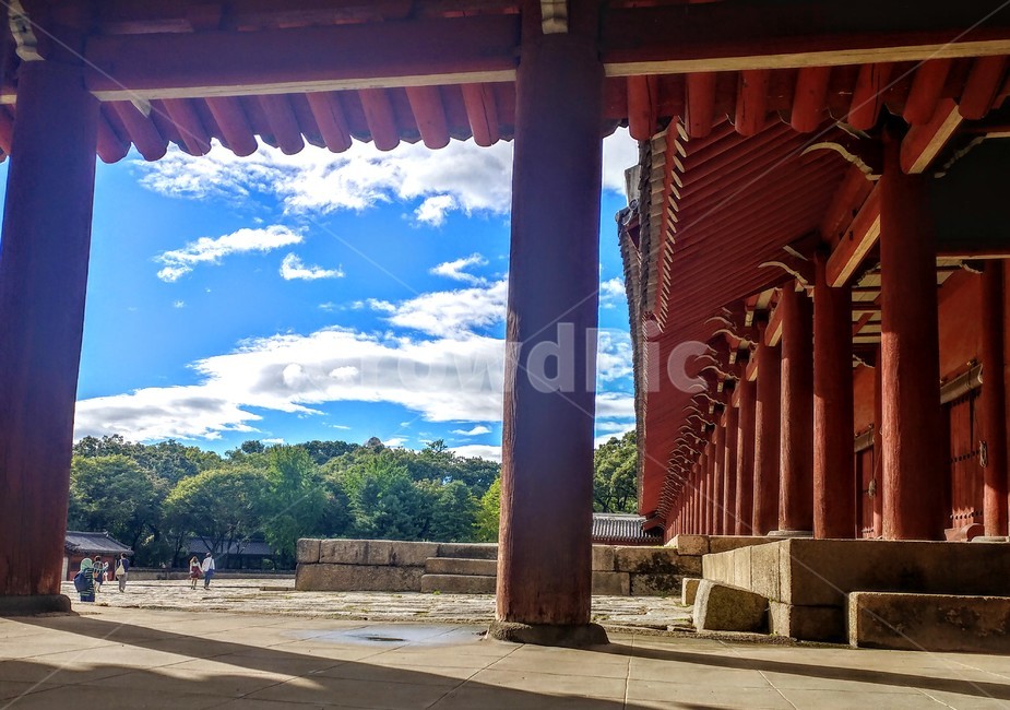 종묘,여름,하늘,궁,고전,경복궁,조선