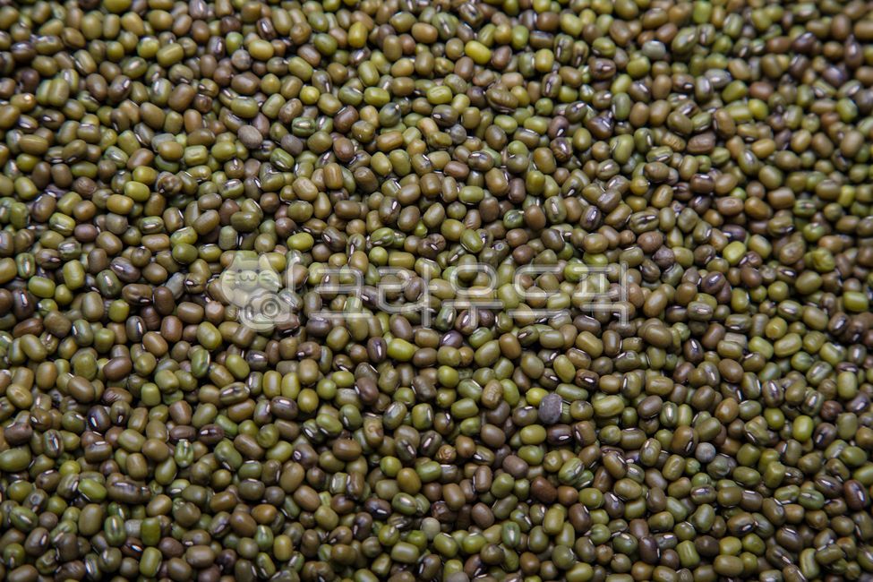 Bindaetteok,Grain,foodwind,health,pancake,multigrain,green gram,food,mungbean,plant,mung bean pancake,grain,healthfood