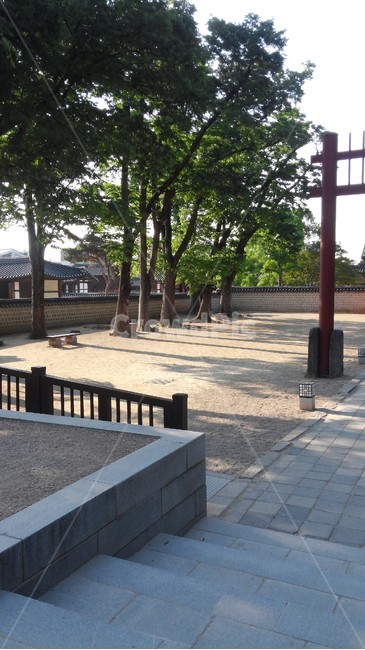 전주경기전,전주,경기전,나무,계단