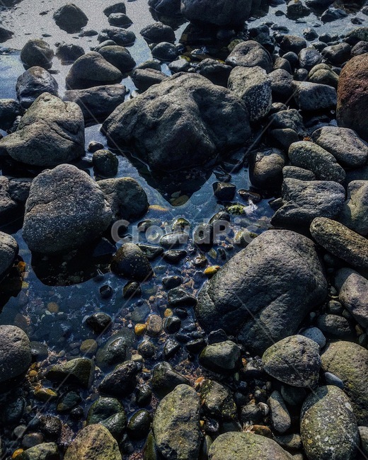 돌멩이,바다,그림자,물,빛,자연,풍경,nature,landscape,rock,록,rubble,파편