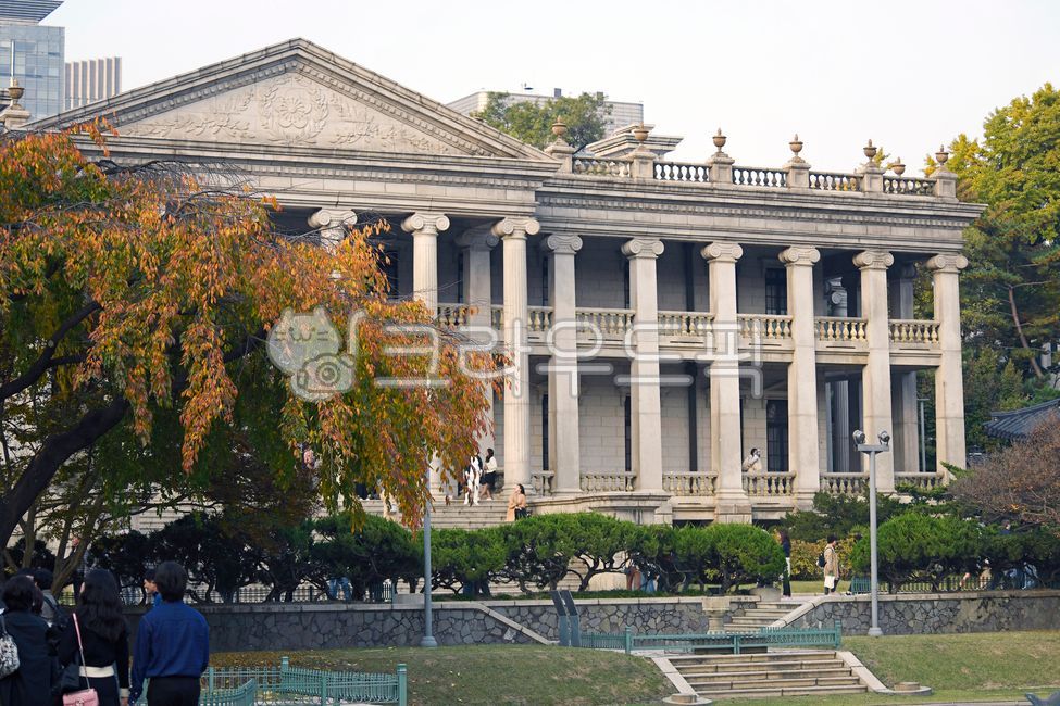 석조전,대한제국역사관,덕수궁,가을,계절,옥외,가을나무,단풍