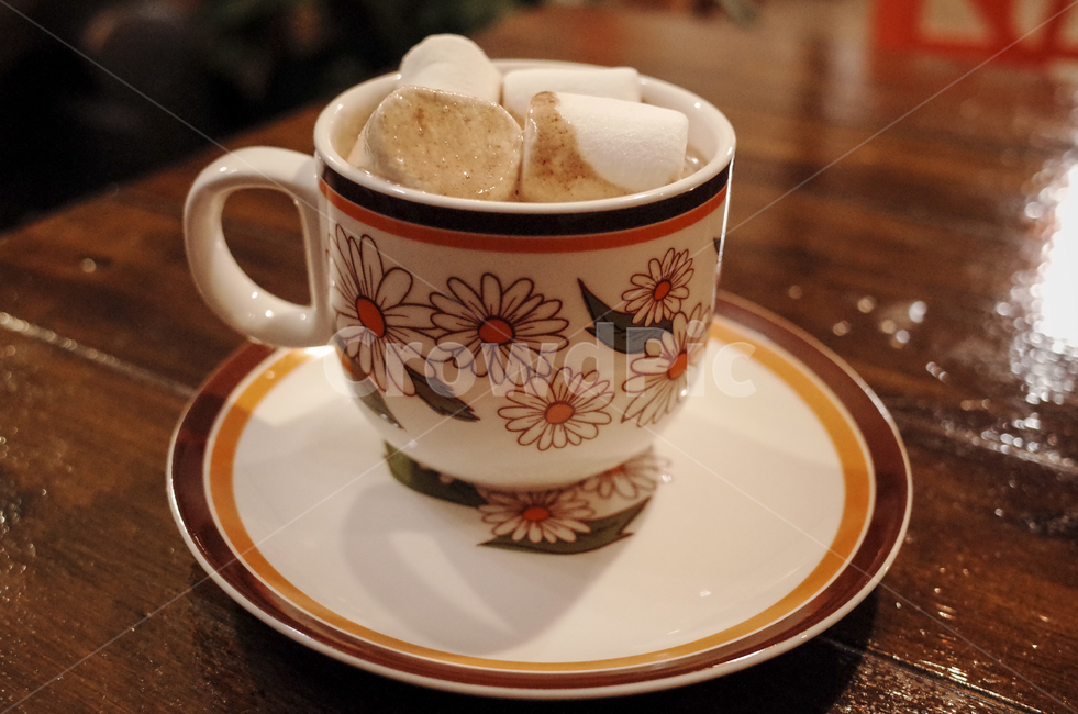 drink,hot,cup,핫초코,초코,마시멜로우,hotchocolate,marshmallow