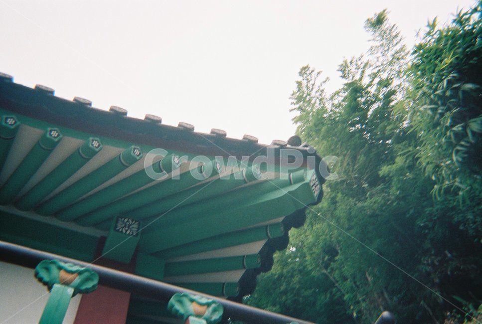 군산,gunsan,동국사,필름카메라,초가을,한국전통,한국문화,korean traditional,korean culture,건축물,건물외관,exterior,building,structure,architecture,construction