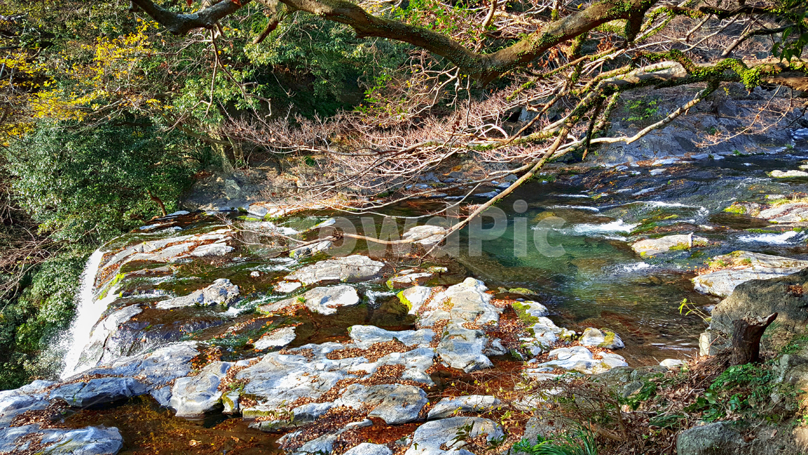 천제연폭포,폭포,천제연,자연,nature,water,물,자연,풍경,nature,landscape