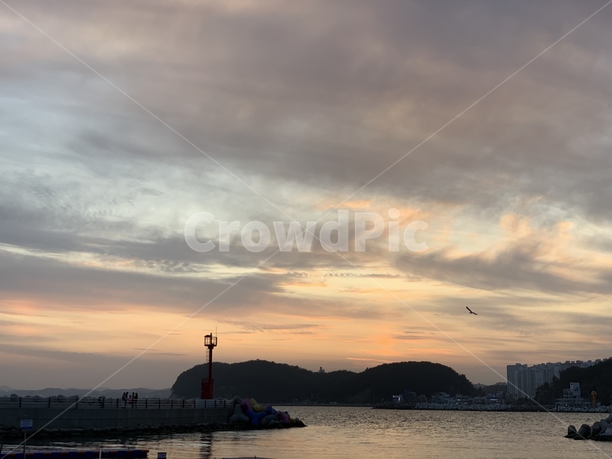 nature,자연,outdoors,옥외,노을,분홍색,pink,구름,cloud,sky,하늘,갈매기,등대,lighthouse,자연,풍경,nature,landscape