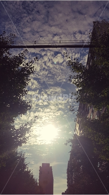 태양,여름,구름,풍경,석양,도시,배경,자연,풍경,nature,landscape,light,빛,flare,플레어,sunlight,햇빛