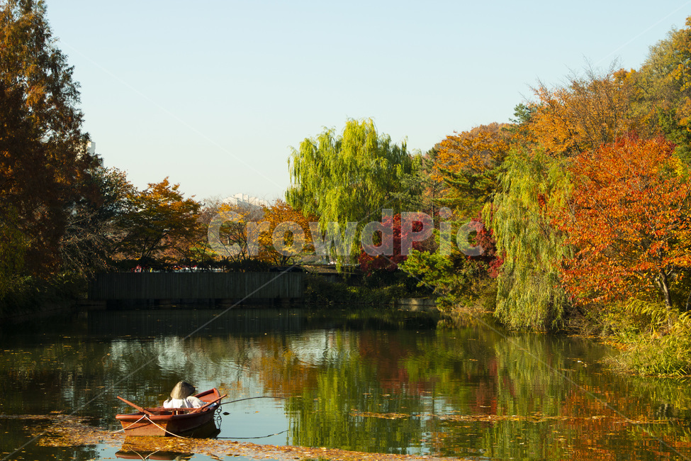 가을,호수,웃긋불긋,배경,단풍,가을,계절,fall,autumn,season,자연,풍경,nature,landscape