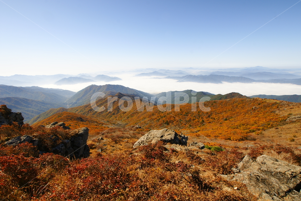 지리산,가을,국립공원,단풍,구례,가을,계절,fall,autumn,season,자연,풍경,nature,landscape,outdoors,옥외,plateau,고원,mountain,산,mountain range,산맥,wilderness,황야