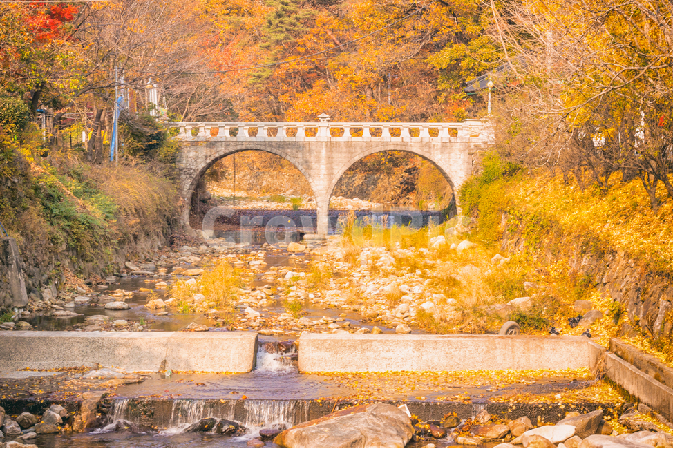 가을,낙옆,단풍,계절,자연,풍경,fall,maple,seasons,autumn,nature,landscape,다리,건출물,bidge,building,structure,계곡,가을,계절,fall,autumn,season,자연,풍경,nature,landscape,viaduct,육교,건물,bridge
