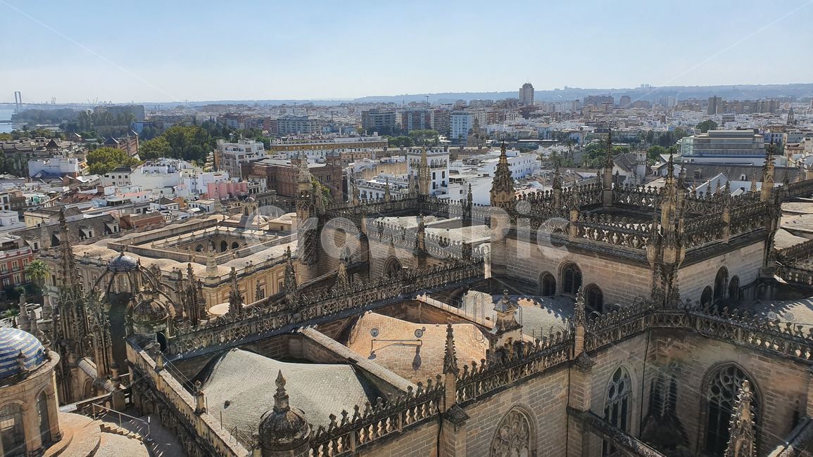 스페인,세비야,세빌리야,spain,sevilla,세비야대성당,성당,대성당,catholic,church,건축물,landscape,경치,outdoors,옥외,풍경,scenery,자연,nature