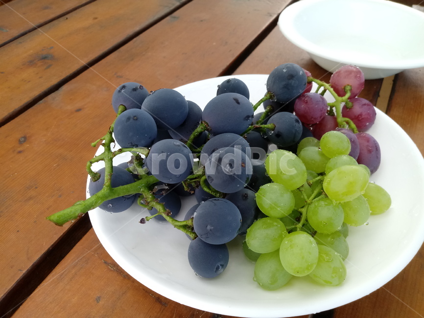 포도,과일,열매,거봉,식물,과일,열매,fruit