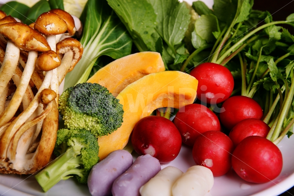 야채,채소,양상추,샐러리,피망,무순,버섯,떡,호박,브로콜리,lettuce,piment,mushroom,pumpkin,broccoli,vegetable,food,음식,식재료,요리,food,cook,meal,dishes,food reserves,채소,야채,vegetables