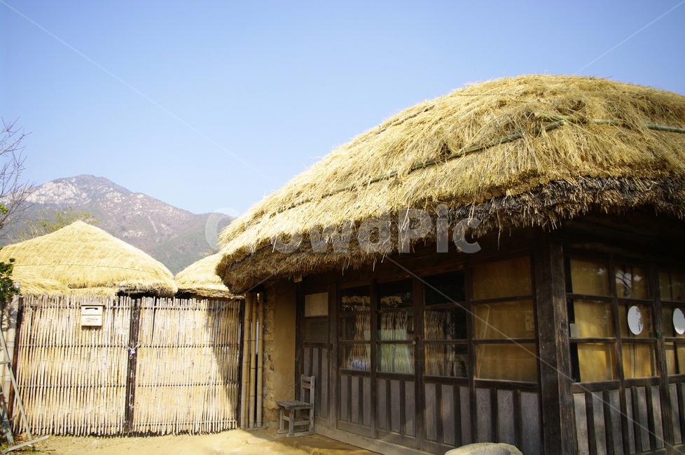 초가지붕,전통가옥,한국,초가집,집,한국전통,한국문화,korean traditional,korean culture,건축물,건물외관,exterior,building,structure,architecture,construction