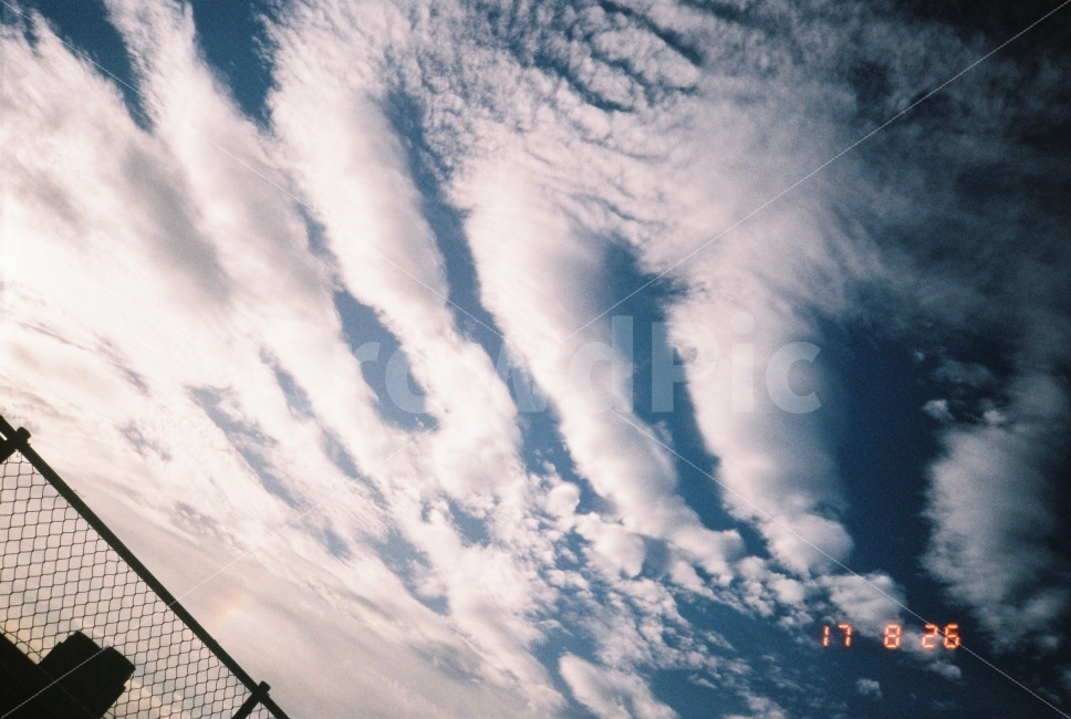 필름,하늘,가을,감성,35mm,자연,풍경,nature,landscape