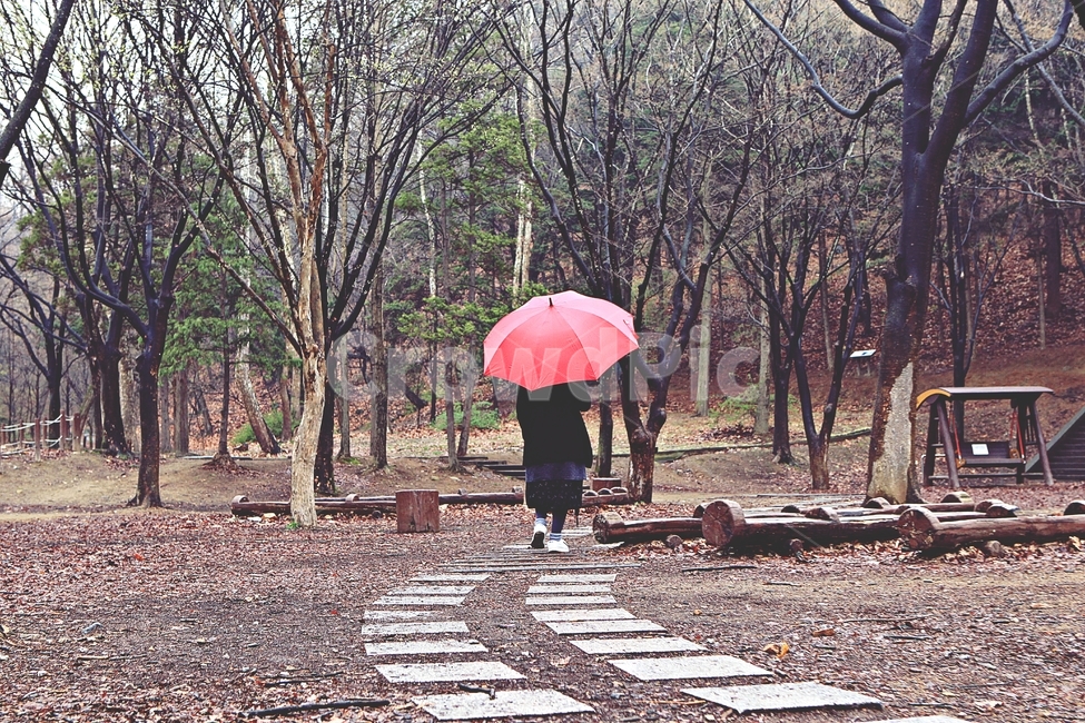 공원,빨강우산,나무,풍경,자연,배경,인천대공원