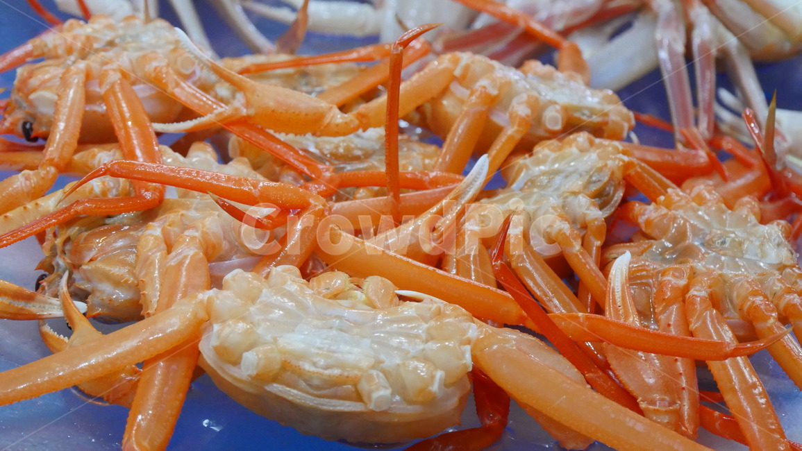 대게,해물,영덕,주황색,수산물시장,음식,식재료,요리,food,cook,meal,dishes,food reserves