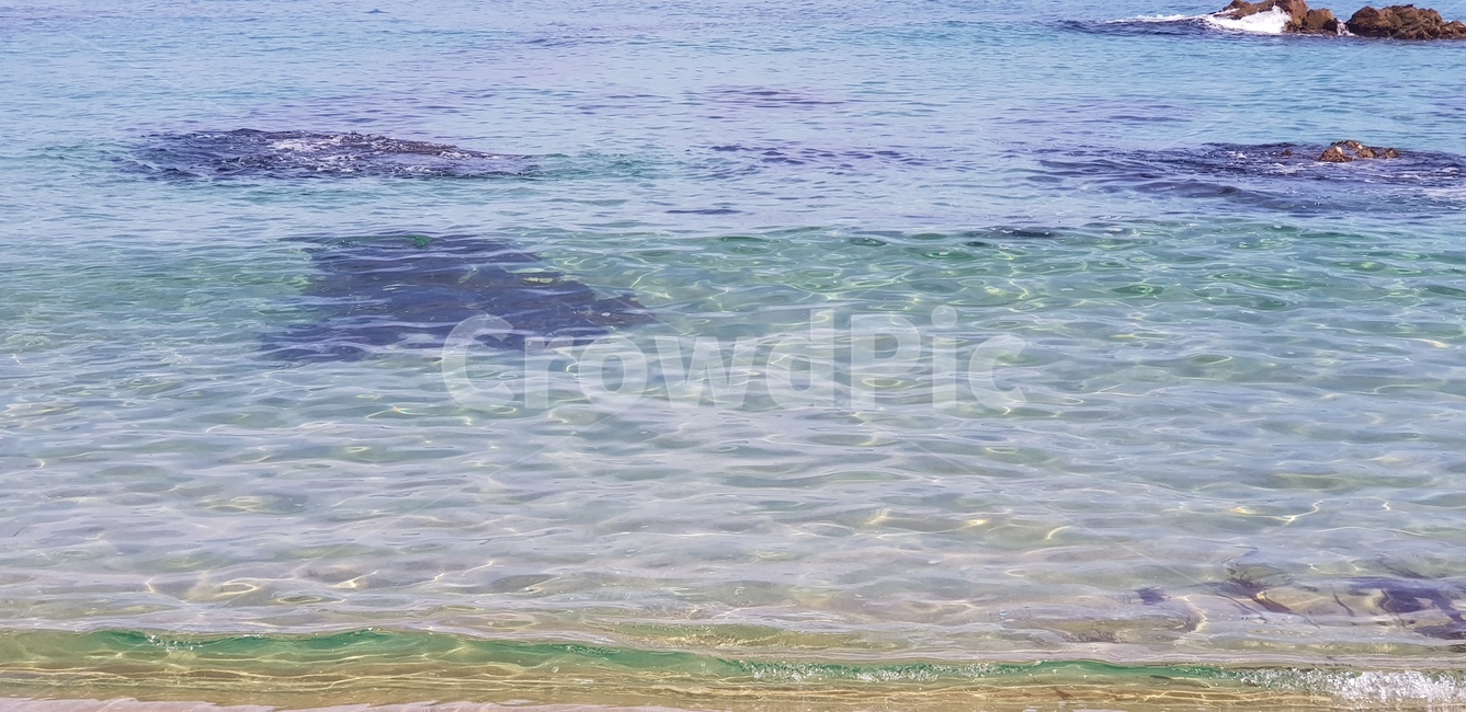 바다,파도,물결,해변,옥색바다,비취색,자연,풍경,nature,landscape,outdoors,옥외,ocean,대양,sea,water,물,shoreline,해안선,coast,연안,beach,바닷가