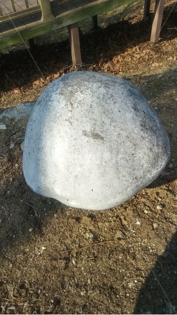 바닥,돌,나무,야생동물집,록,ground