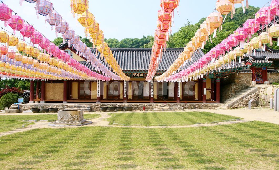Gapsajinhaedang,ancient architecture,Buddhas birthday,Gapsa Temple,temple,Jinhaedang,scenery,lantern